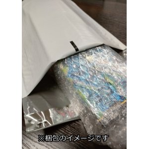 画像2: ヴァンガード 【VG-DZ-BT04】 ブースターパック「宿命決戦(しゅくめいけっせん)」　１BOX(**16パック入り**)