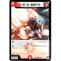 ＵＳＡＢＩＮＴＡ(高価N)