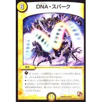 DNAスパーク