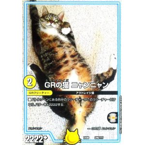 画像1: GRの猫ニャンニャン