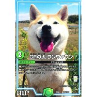 GRの犬ワンワンワン