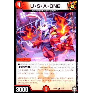 画像1: USAONE