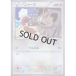 画像1: ニャース【250/XY-P】