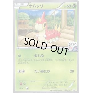 画像1: ケムッソ【128/XY-P】