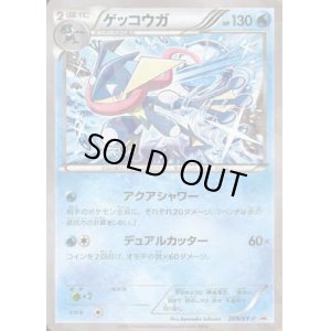 画像1: ゲッコウガ【209/XY-P】