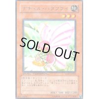 ナチュルバタフライ(高価N)(DT)