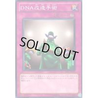 DNA改造手術(高価N)