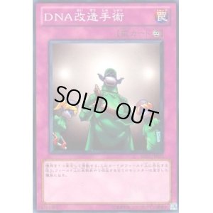 画像1: DNA改造手術(高価N)