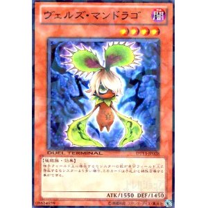 画像1: ヴェルズマンドラゴ(高価N)(DT)