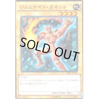 ジェムナイトガネット(高価N)