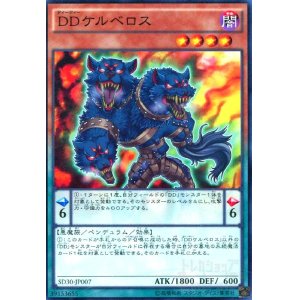 画像1: DDケルベロス(高価N)