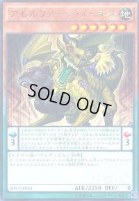 アモルファージノーテス(高価N)