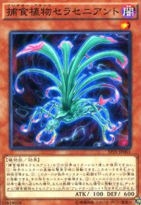 捕食植物セラセニアント(高価N)