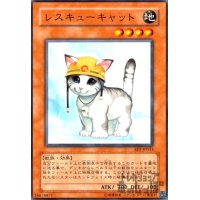 レスキューキャット(高価N)