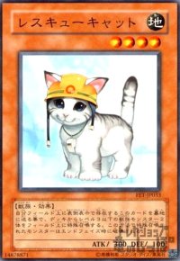 レスキューキャット(高価N)