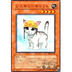 画像1: レスキューキャット(高価N)