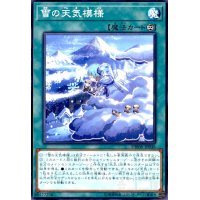 雪の天気模様(高価N)