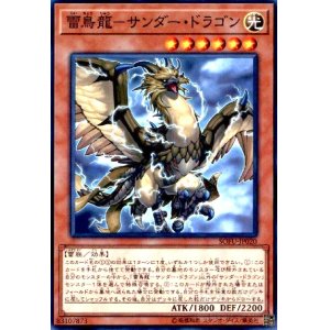 画像1: 雷鳥龍-サンダードラゴン(高価N)