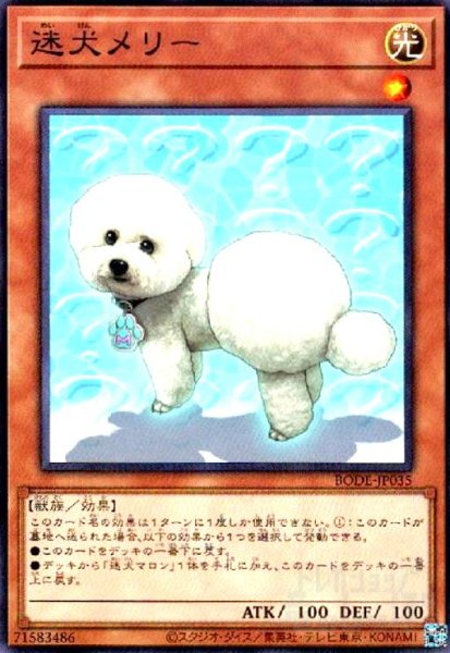 画像1: 迷犬メリー(高価N) (1)