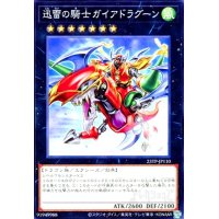 迅雷の騎士ガイアドラグーン(高価N)