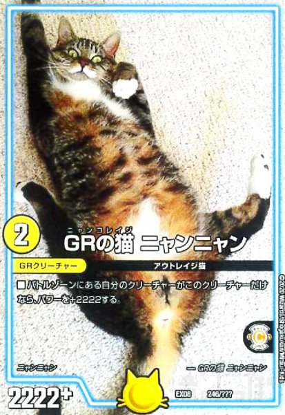 画像1: GRの猫ニャンニャン (1)